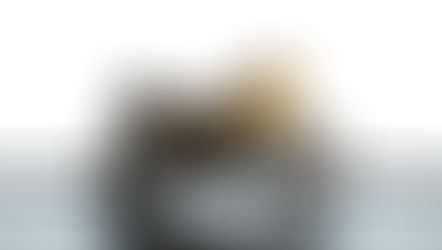 Yellow and black motorcycle on a stand against a white background. Bold "BSA" logo visible. Simple and sleek design.