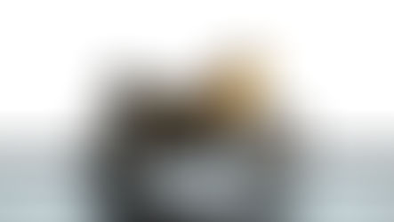 Yellow and black motorcycle on a stand against a white background. Bold "BSA" logo visible. Simple and sleek design.