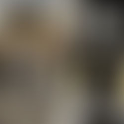 2026 Ducati DesertX Revealed: New V2 Engine, More Power and Serious Off-Road Upgrades