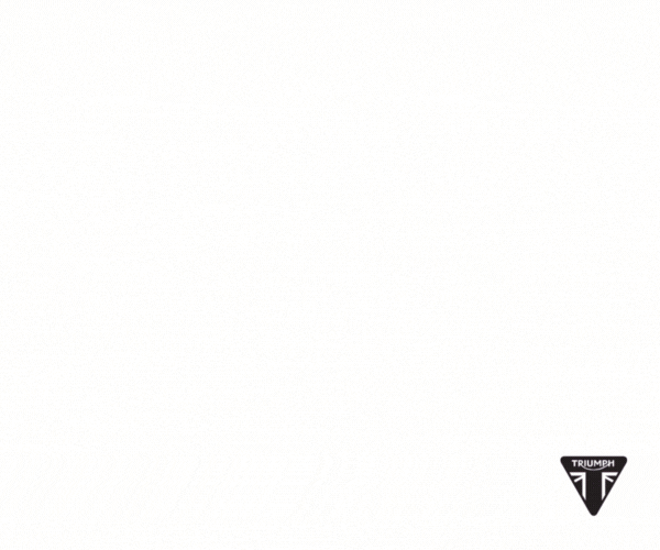 Speed Triple Website ad q2 2025.gif