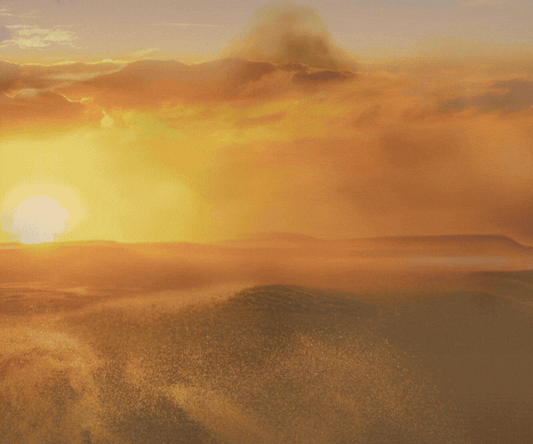 TUAREG WEB NOV 25 LARGE.gif