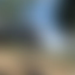 CFMOTO, SHERCO and KYMCO get new NZ Distributor