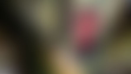 MY27 Beta XTrainer 300 Confirmed for NZ: What’s New for 2027