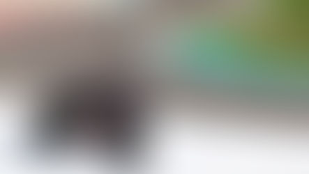 Hotter Aprilia RS457 GP Replica Coming to New Zealand in 2026