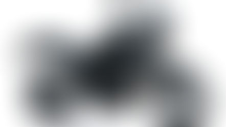 Kawasaki's KLE500 Finally Returns for 2026 | First Look