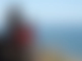 Honda CRF250L Rally | 6 Month Ownership Review