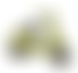 Vespa Announces 946 10° Anniversario