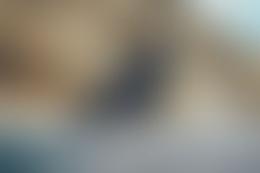 Huqvarna reveals all-new Svartpilen 801 | NZ Availability Confirmed