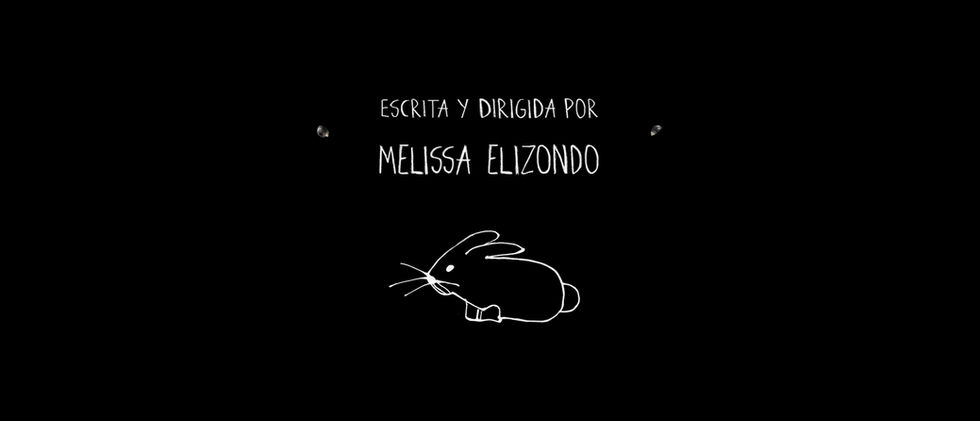 9Dirigidapor copia.jpg