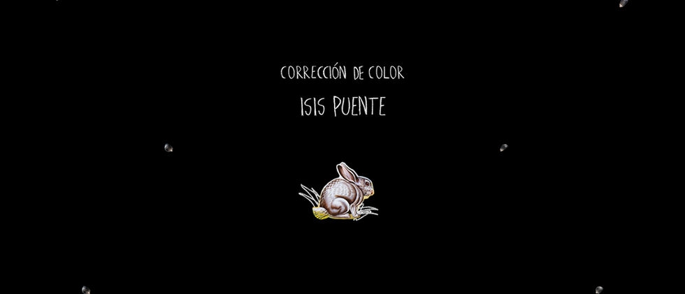 16CorreccionDeColor copia.jpg