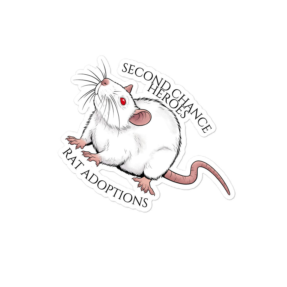 Thumbnail: Albino Rat Sticker