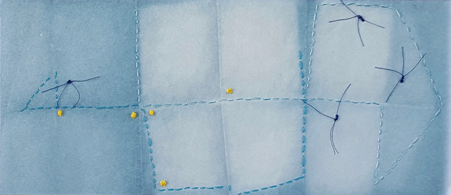 Farfalle in volo