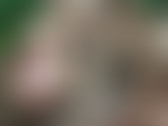 Prenotazioni aperte! Menù cena di gala con spettacolo e scambio auguri Natale con Cd Voci d'oro