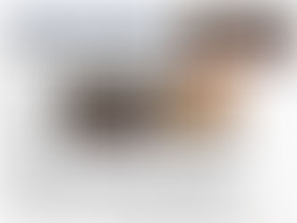 La Nazione pubblica finali 28° Festival Voci d'Oro