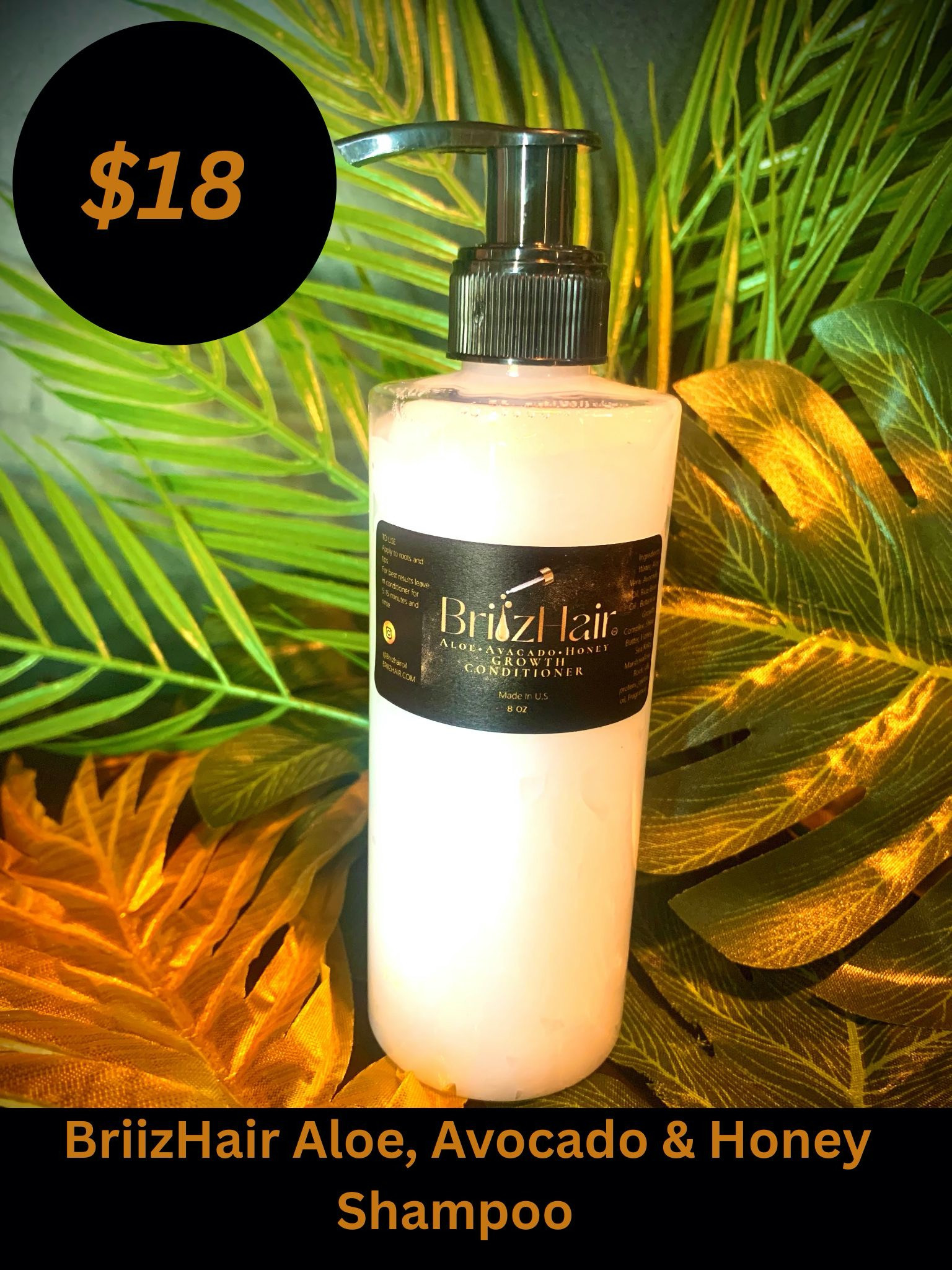 BriizHair X- Moister Conditioner