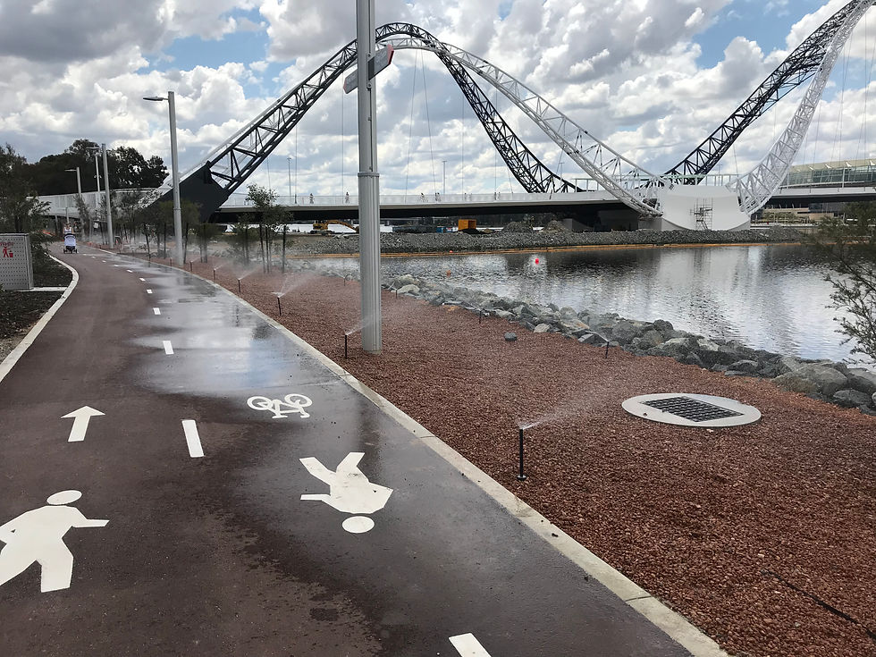 Matagarup Bridge
