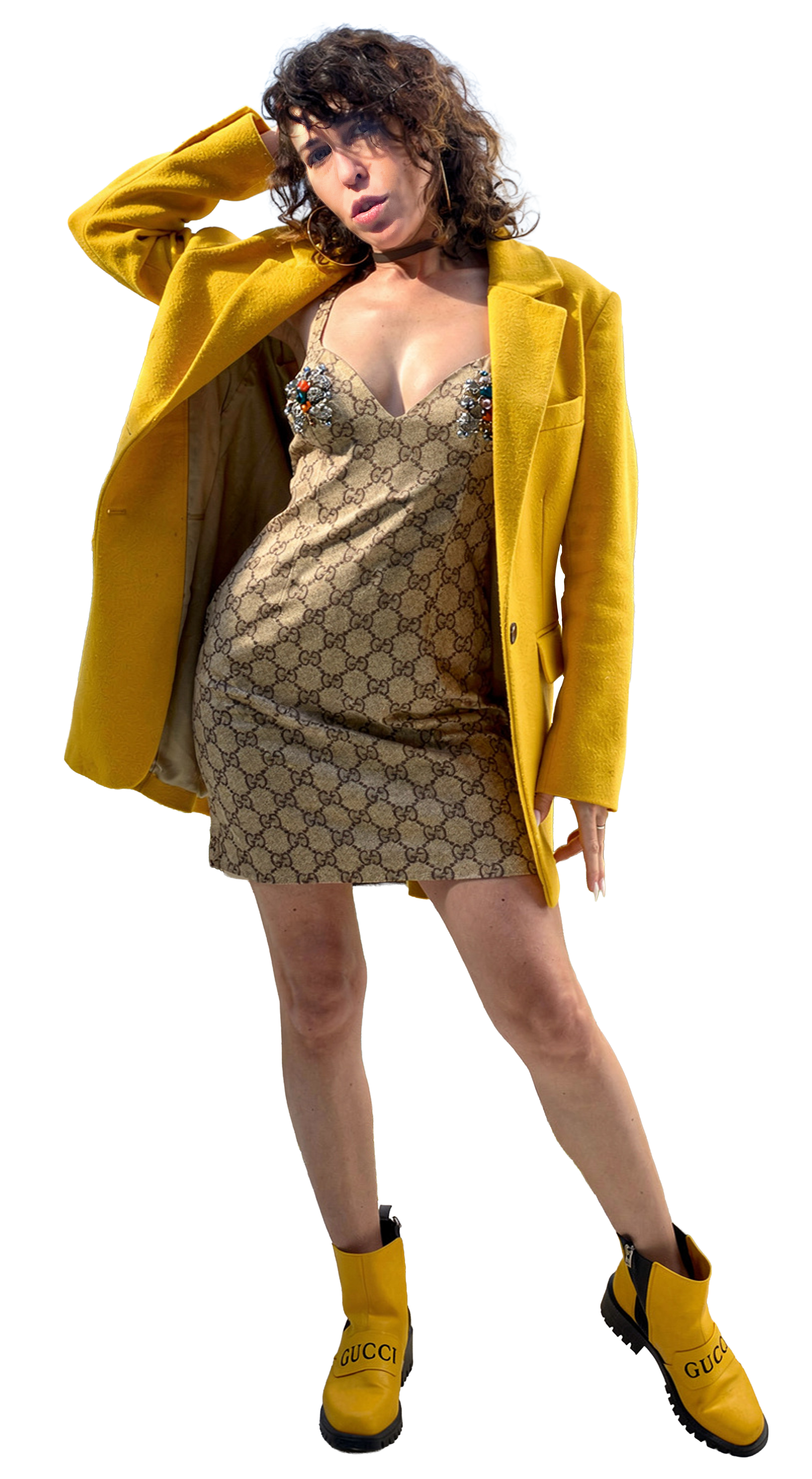 yellow jacket.png