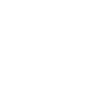inss logo.png