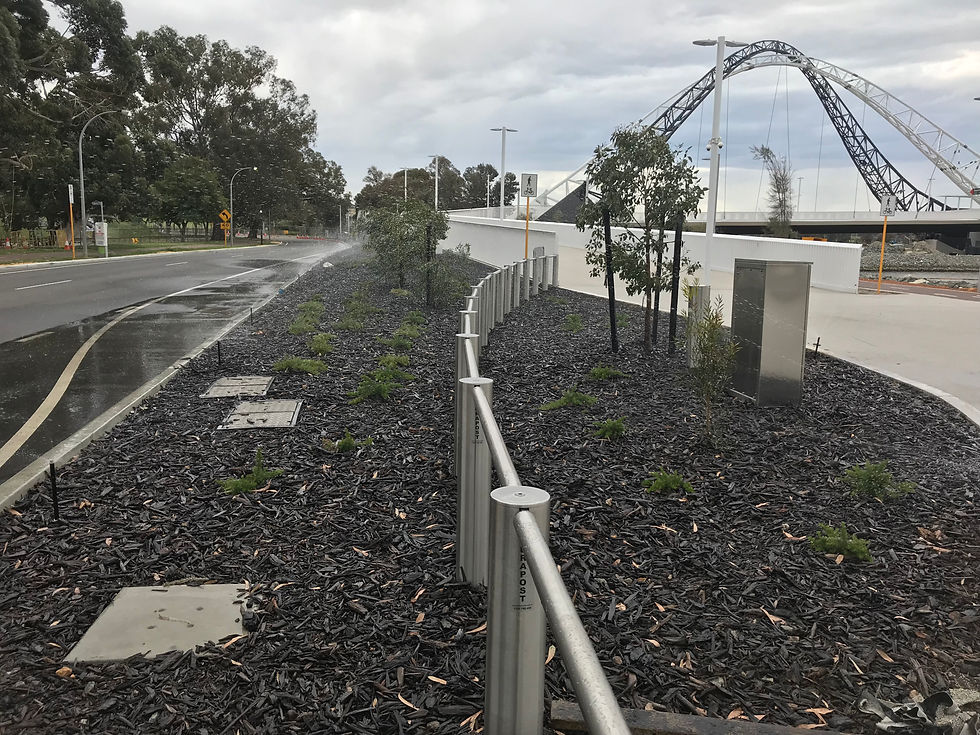 Matagarup Bridge