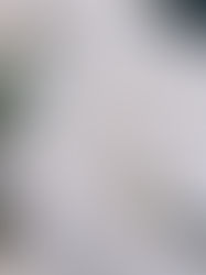 What Information Should Be Included on a Wedding Invitation? A Refined Guide