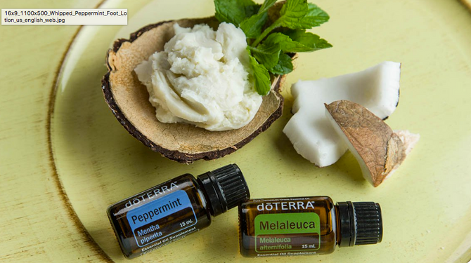Peppermint Foot Lotion