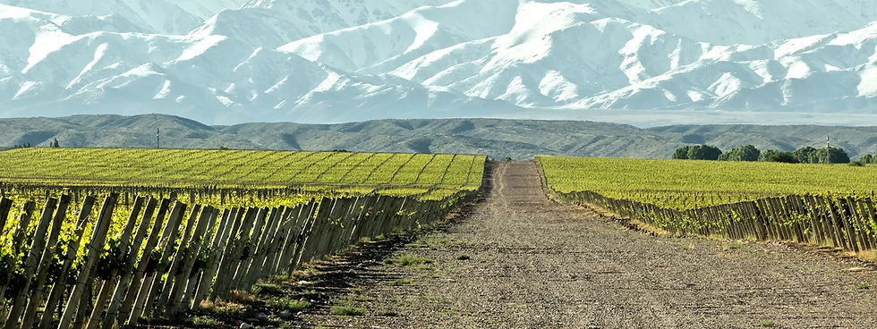 _viajeseta mendoza argentina.jpg