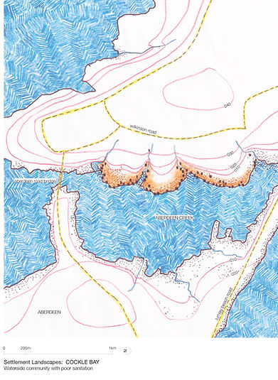 10 Settlement Landscape - Cockle Bay (1).jpg