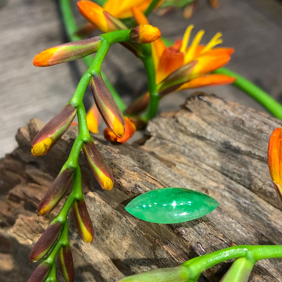 縮圖：A玉 - 冰種滿綠欖尖 (OL-12411)