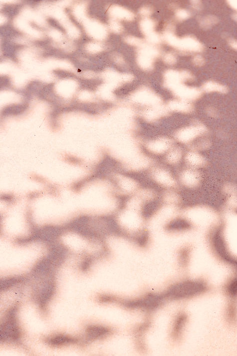 pexels-madison-inouye-2821756.jpg