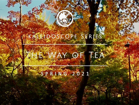 Kaleidoscope Series, The Way of Tea by The Seattle Japanese Garden