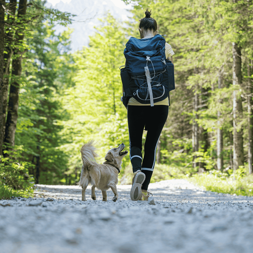 Tips for Hiking with Your Dog in Aurora