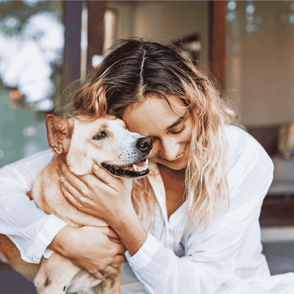 Making Pet Safety A Priority