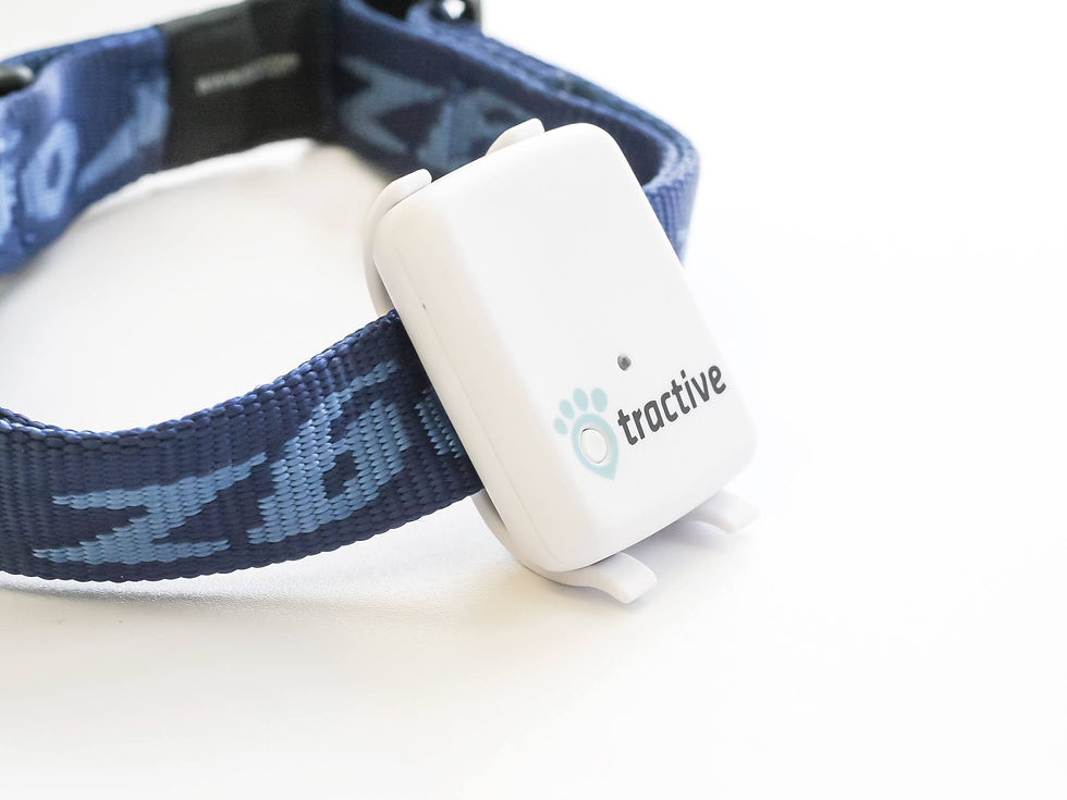 Tractive GPS Collar