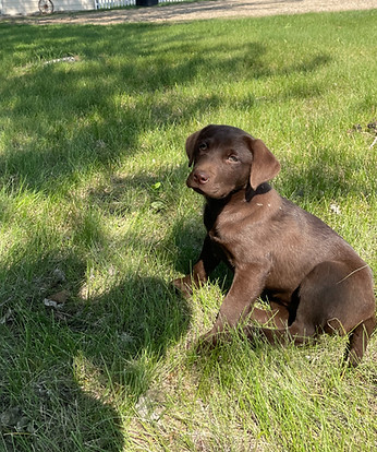 0e02a8_444b90c3c3984a6f979a74818cd0fb83~