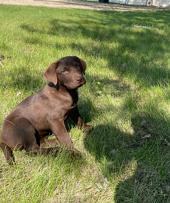 0e02a8_444b90c3c3984a6f979a74818cd0fb83~