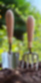 landscaping services gardener cairns.jpg