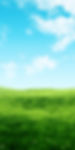 acreage lawn mowing care services cairns.jpg