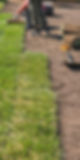 turf supplier suppliers installation cairns.jpg