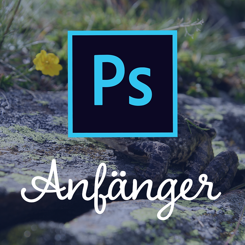Adobe Photoshop | Anfänger