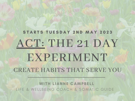 Creating New Habits That Serve You - Our 21 Day Support Program Starts 2nd May 2023 🌺