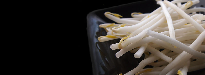 Beansprout dish.jpg