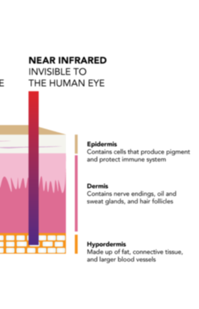 Untitled design (4).png