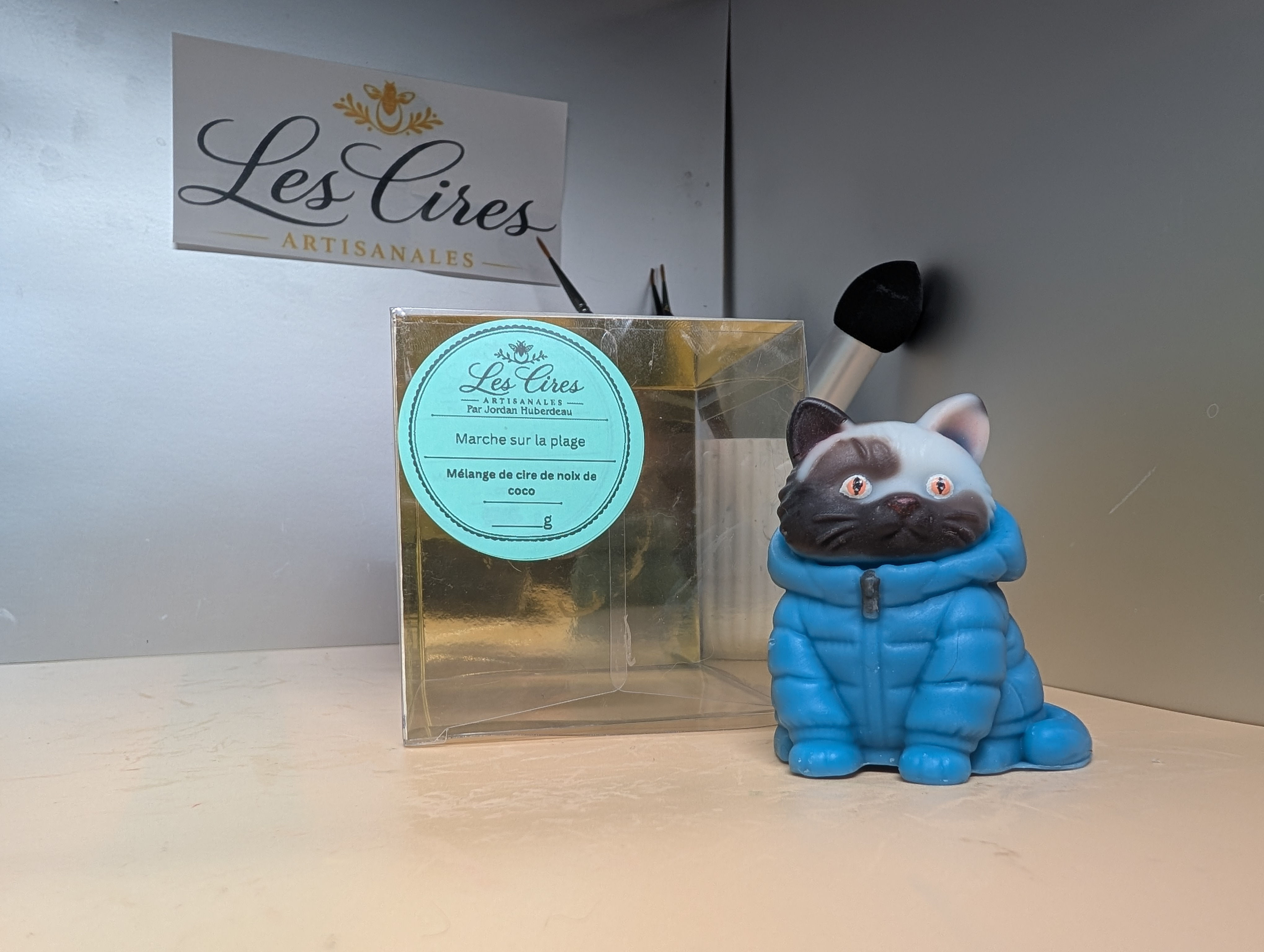 chat manteau sans capuche