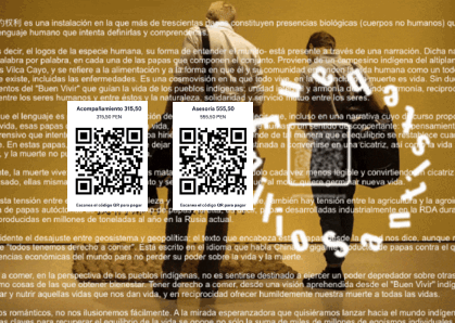 Asesorías creativas oara artistas