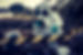 AdobeStock_313455472.jpeg