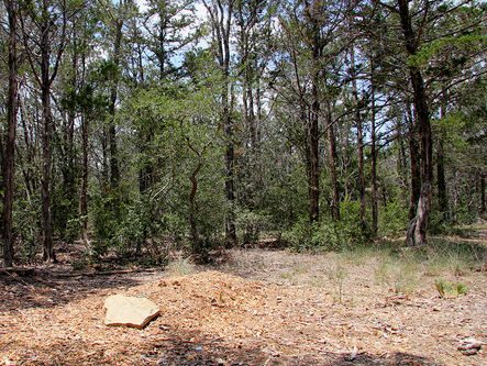 Update: Green Burials - now available on You Tube 