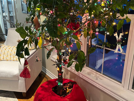 Celebrating Christmas as a Humanist: Tradition, Family, and Personal Meaning