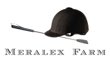 Meralex Logo as PNG.png