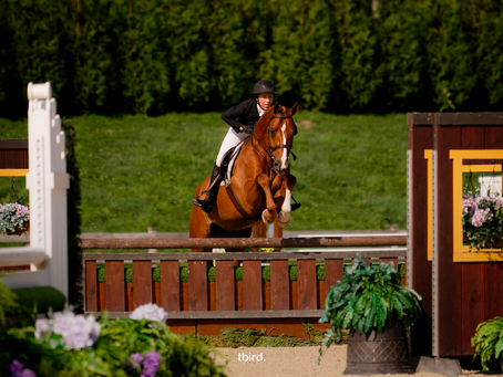 Partridge and Chaperone ‘Go Big’ in Tidball Legacy Canadian Hunter Derby Open 3’6”