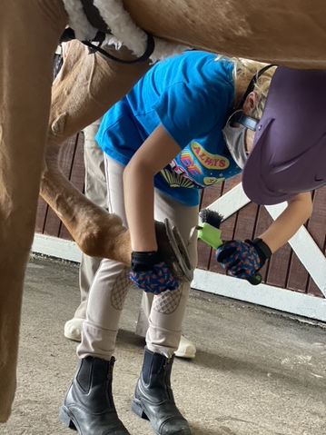 More horse care learning at Day Dream Farm horse camp